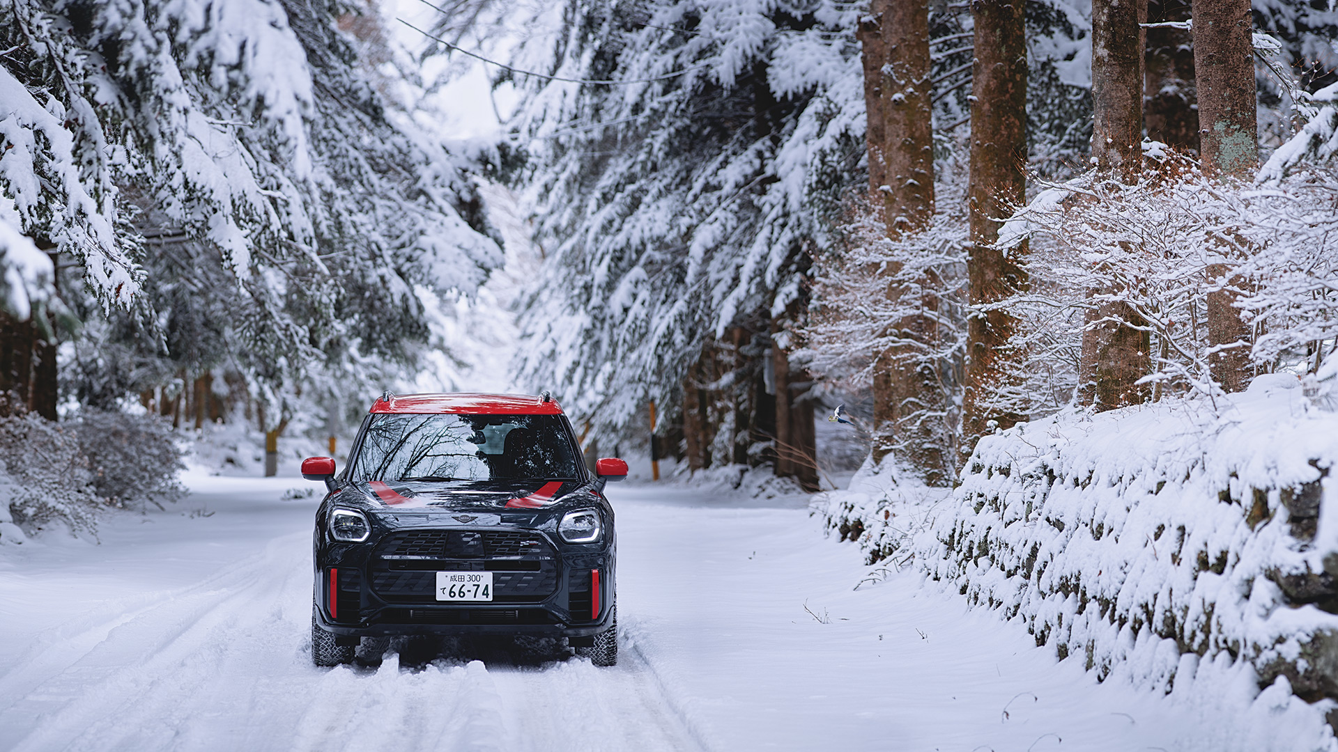 Time to Explore: MINI Adventures in Nagano