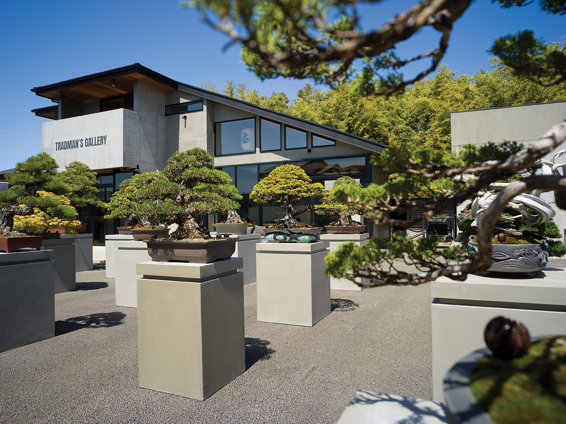 TRADMAN'S × OLD MOUNTAIN kakemono OLD MOUNTAIN TRADMAN'S BONSAI