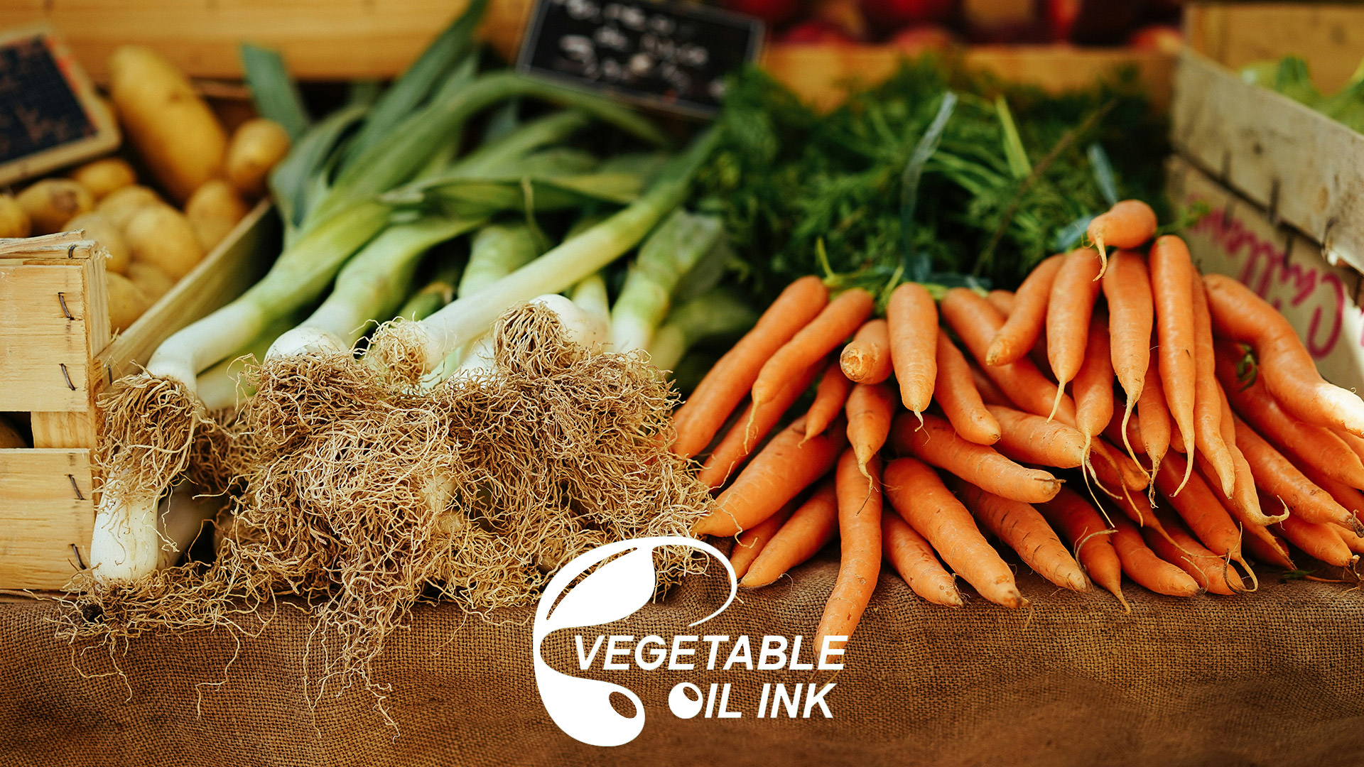 LUXE magazine is printed entirely with vegetable oil inks. To help fulfil our Sustainable Development Goals and those of our printing company, Kousoko Press, Japan. Photo by Peter Wendt/Unsplash